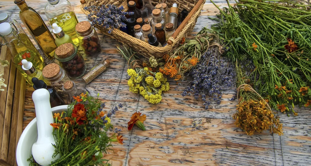 Preparación de hierbas medicinales en una mesa de trabajo artesanal