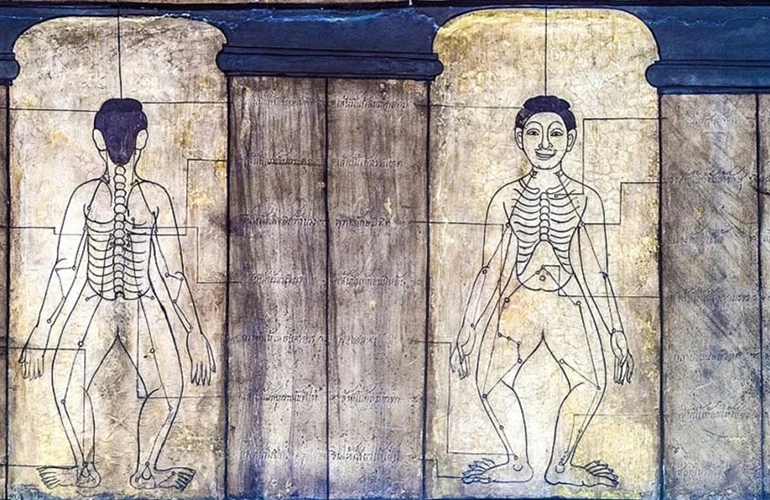 Diagramas anatómicos tailandeses tradicionales en un templo budista
